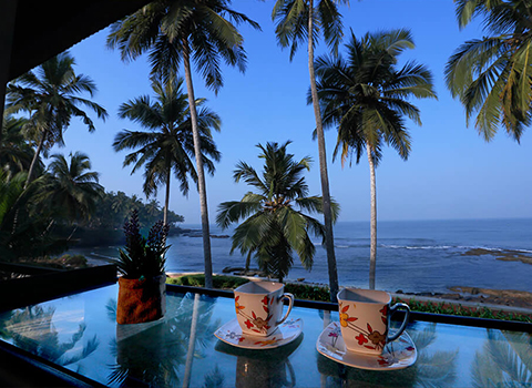 calicut accommodation  